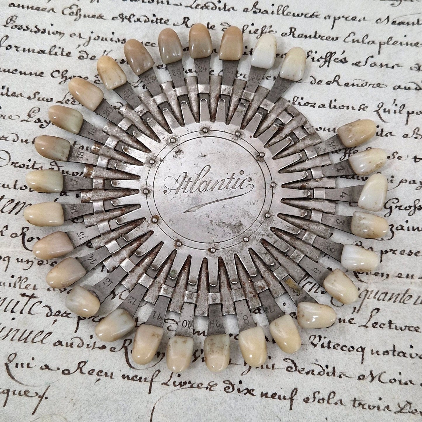 cercle teintes dents prothese