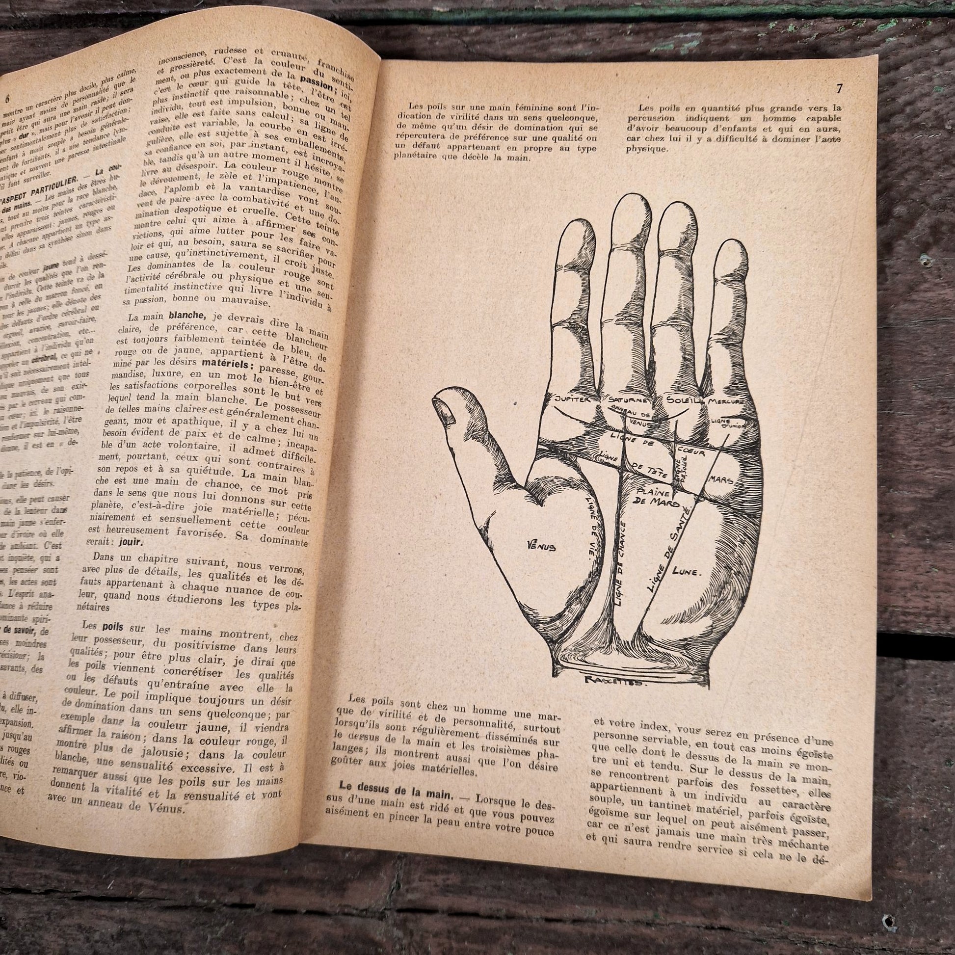 chiromancie deductive et experimentale 1931