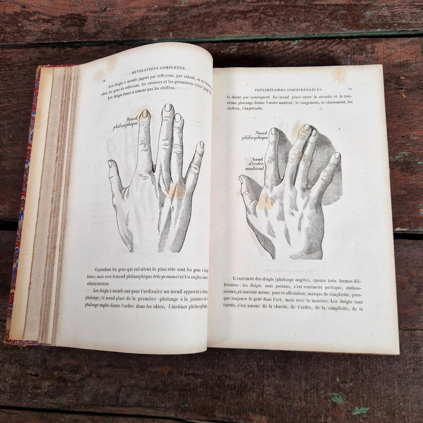 chiromancy illustrated book 19th century