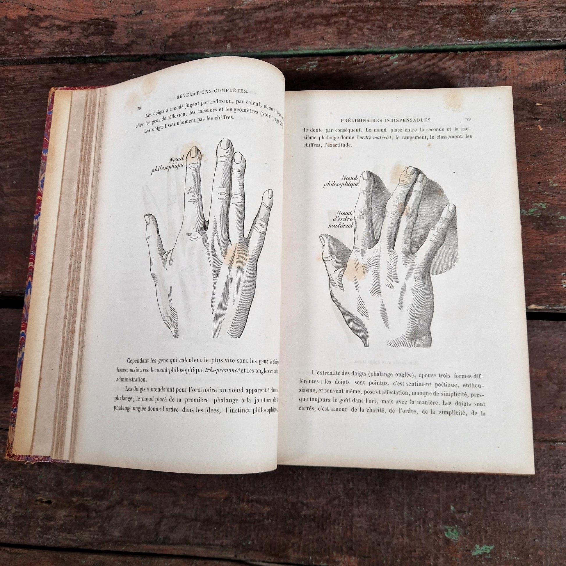 chiromancy illustrated book 19th century