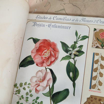 Flowers from Nature &amp; Ornamental Flowers - Ernest Guillot