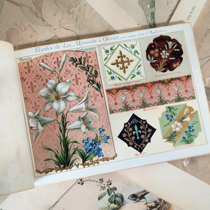 Flowers from Nature &amp; Ornamental Flowers - Ernest Guillot