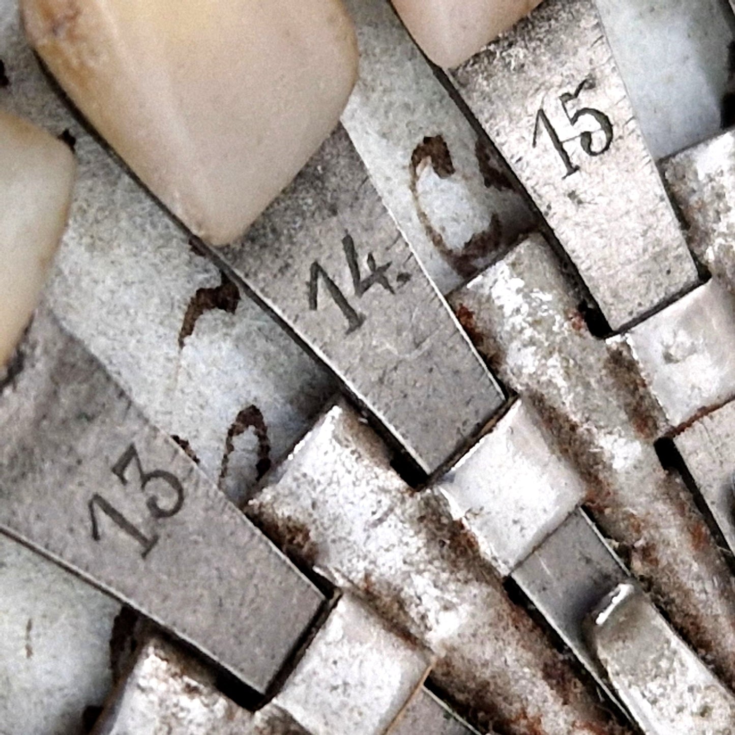 circular tooth sample wheel