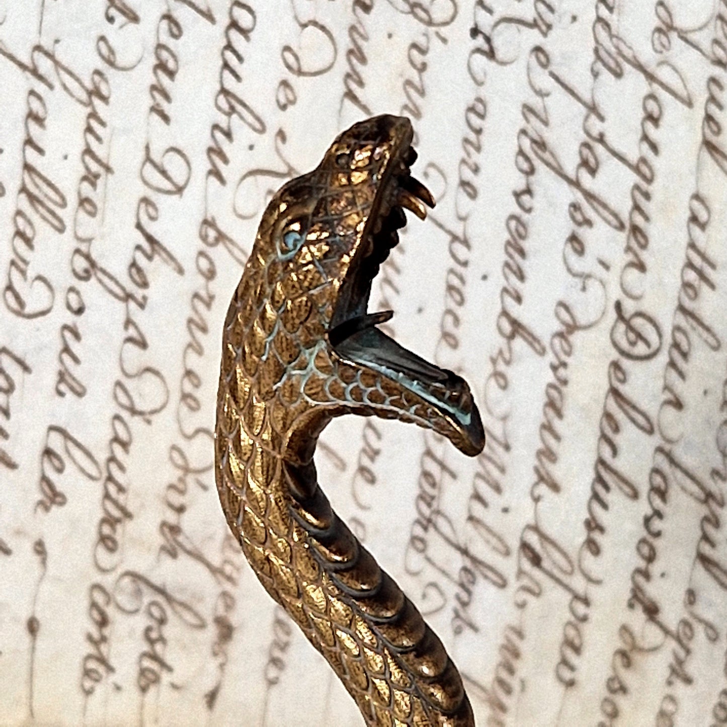 cobra bronze decoratif