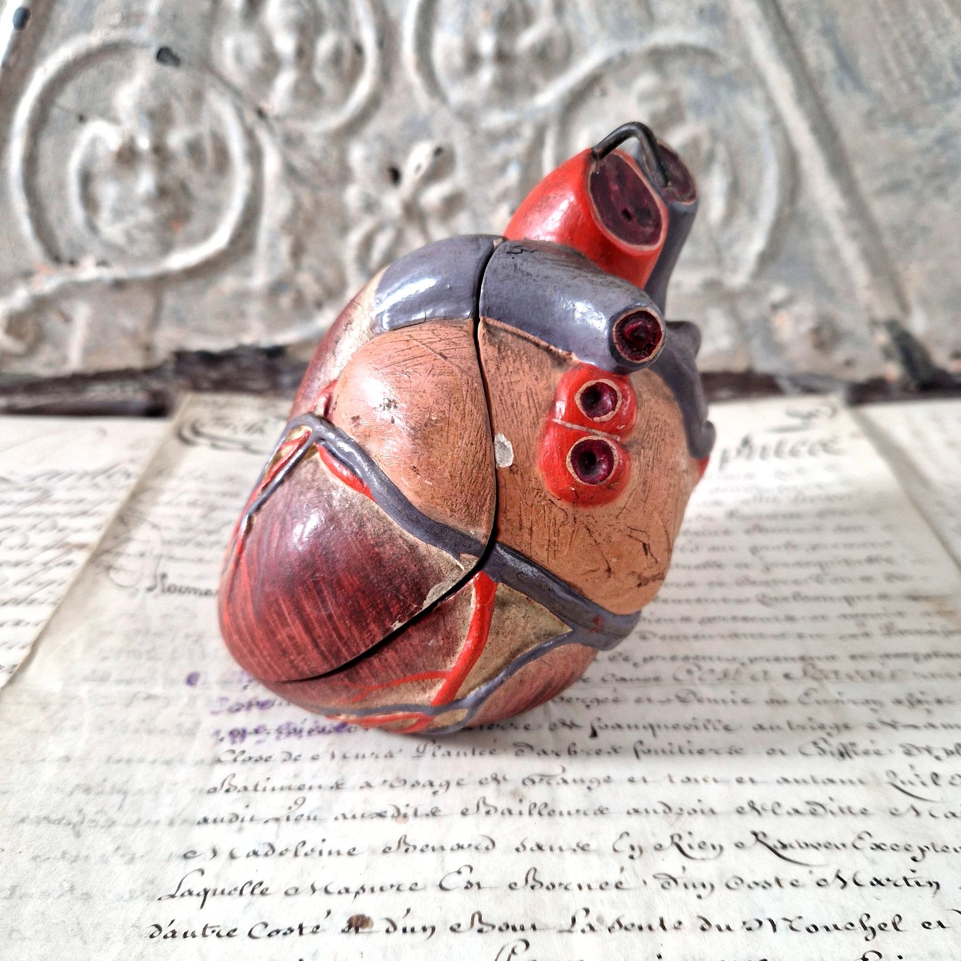 coeur pedagogique demontable collection