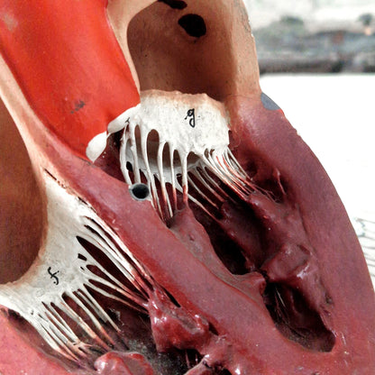 collectible antique heart miniature