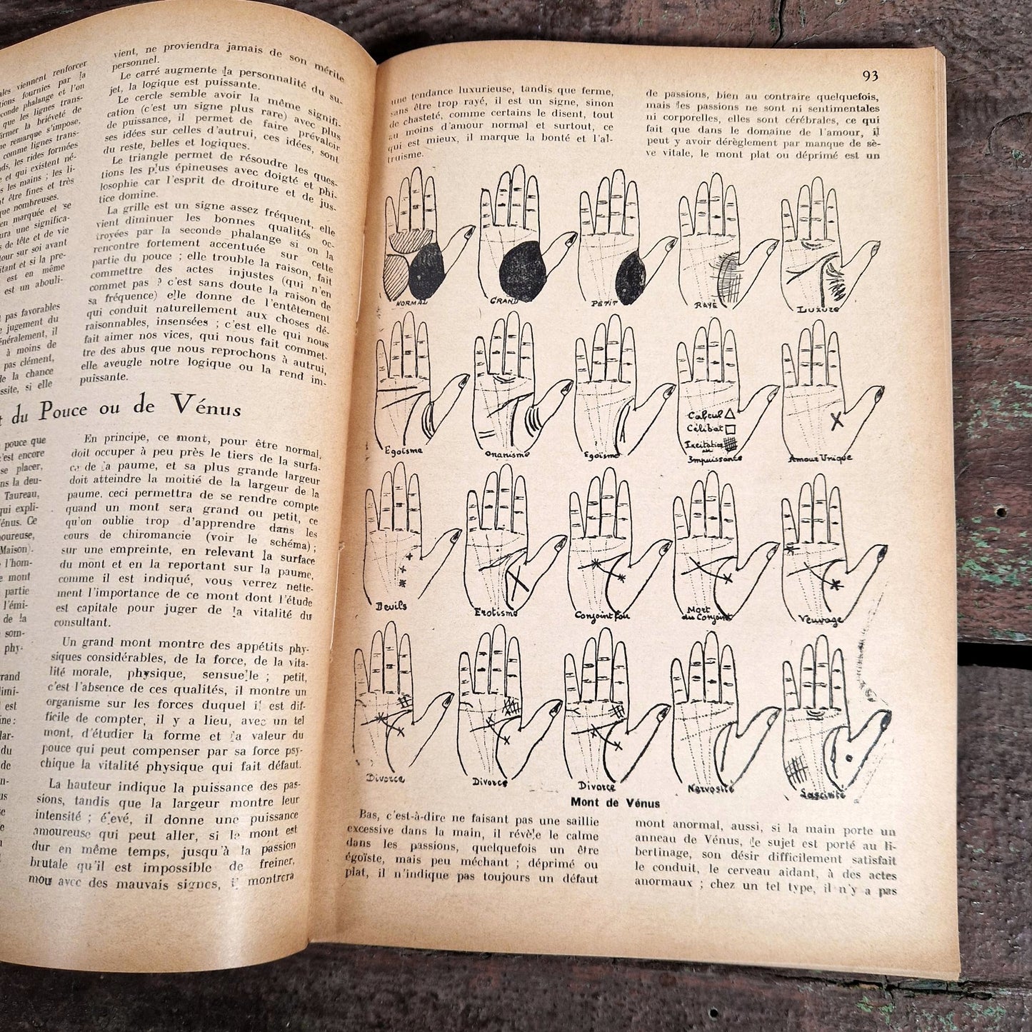 complete treatise of palmistry georges muchery 1931