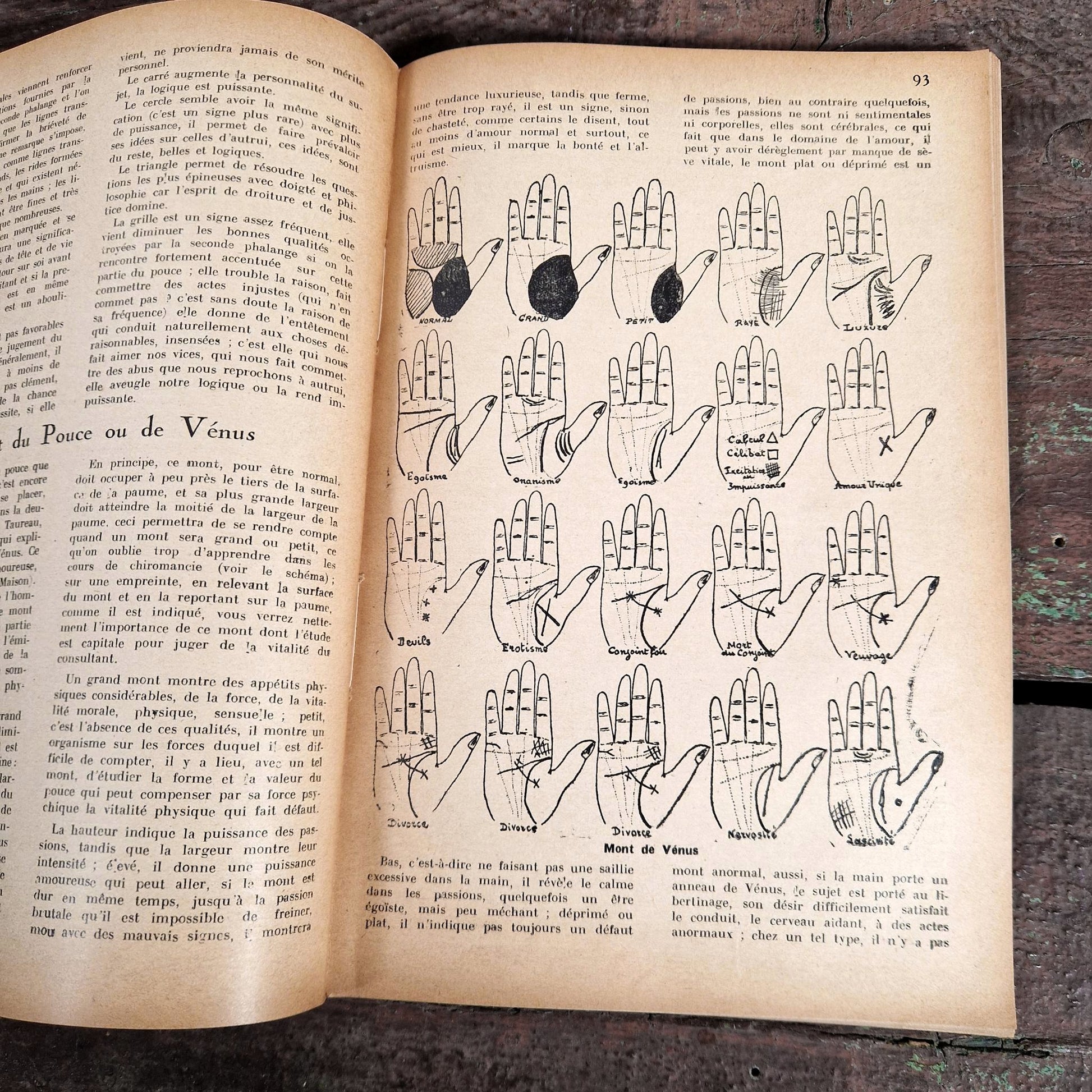 complete treatise of palmistry georges muchery 1931