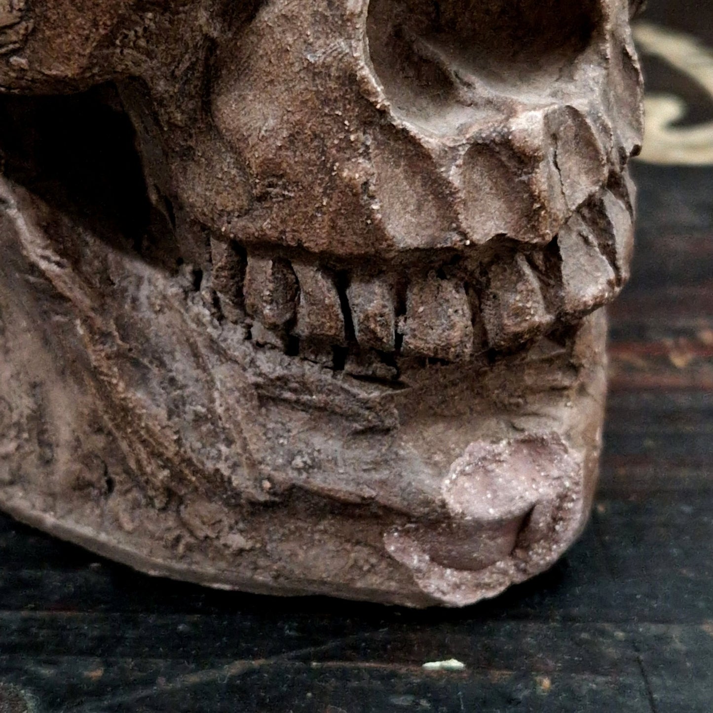 crane atelier artiste terre