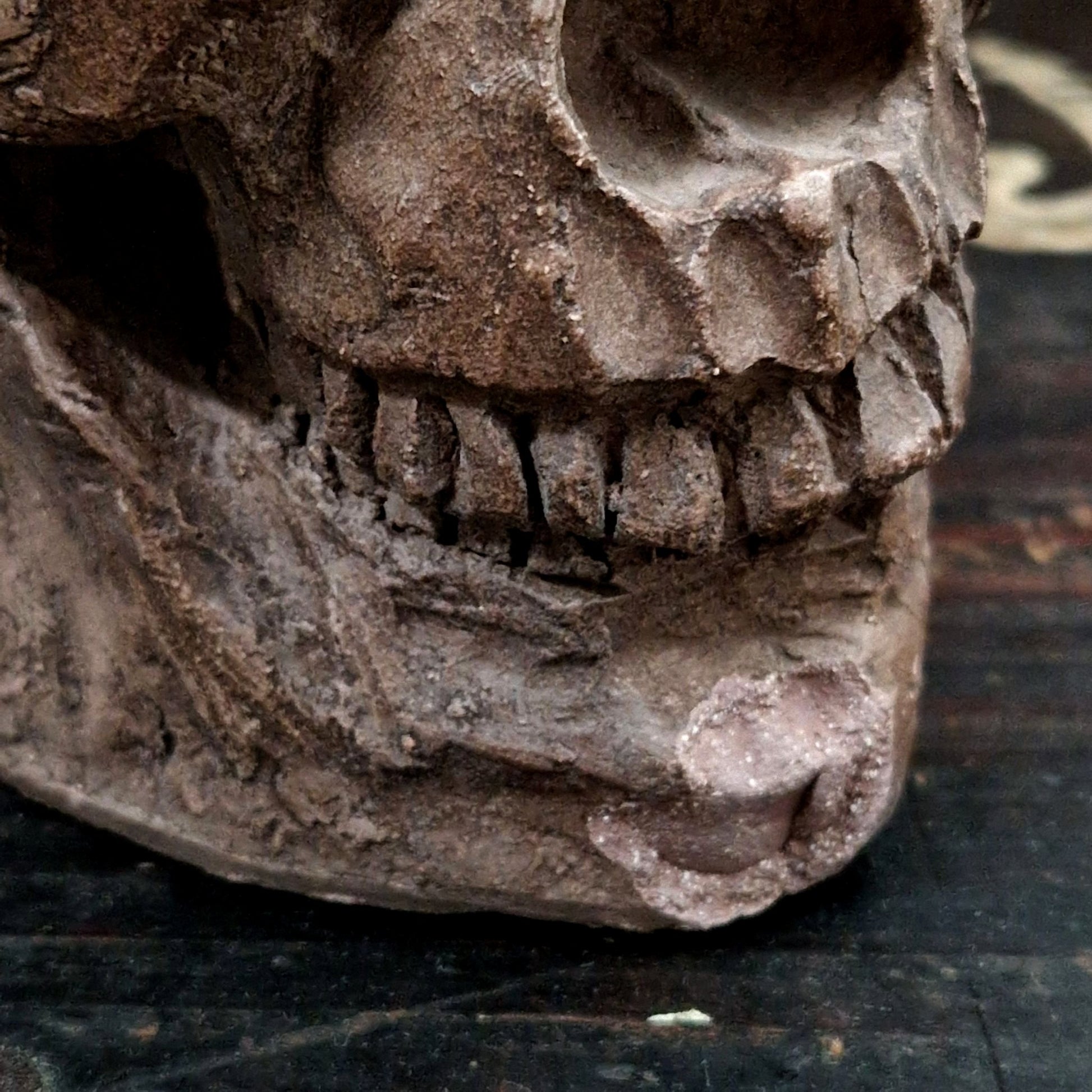 crane atelier artiste terre