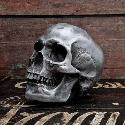 crane étain patiné skullt royan