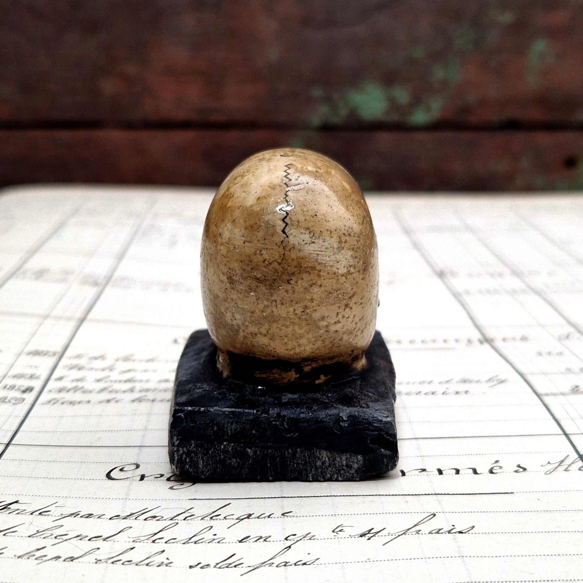 crane miniature déco cabinet curiosité