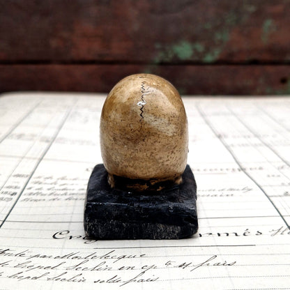 crane miniature déco cabinet curiosité