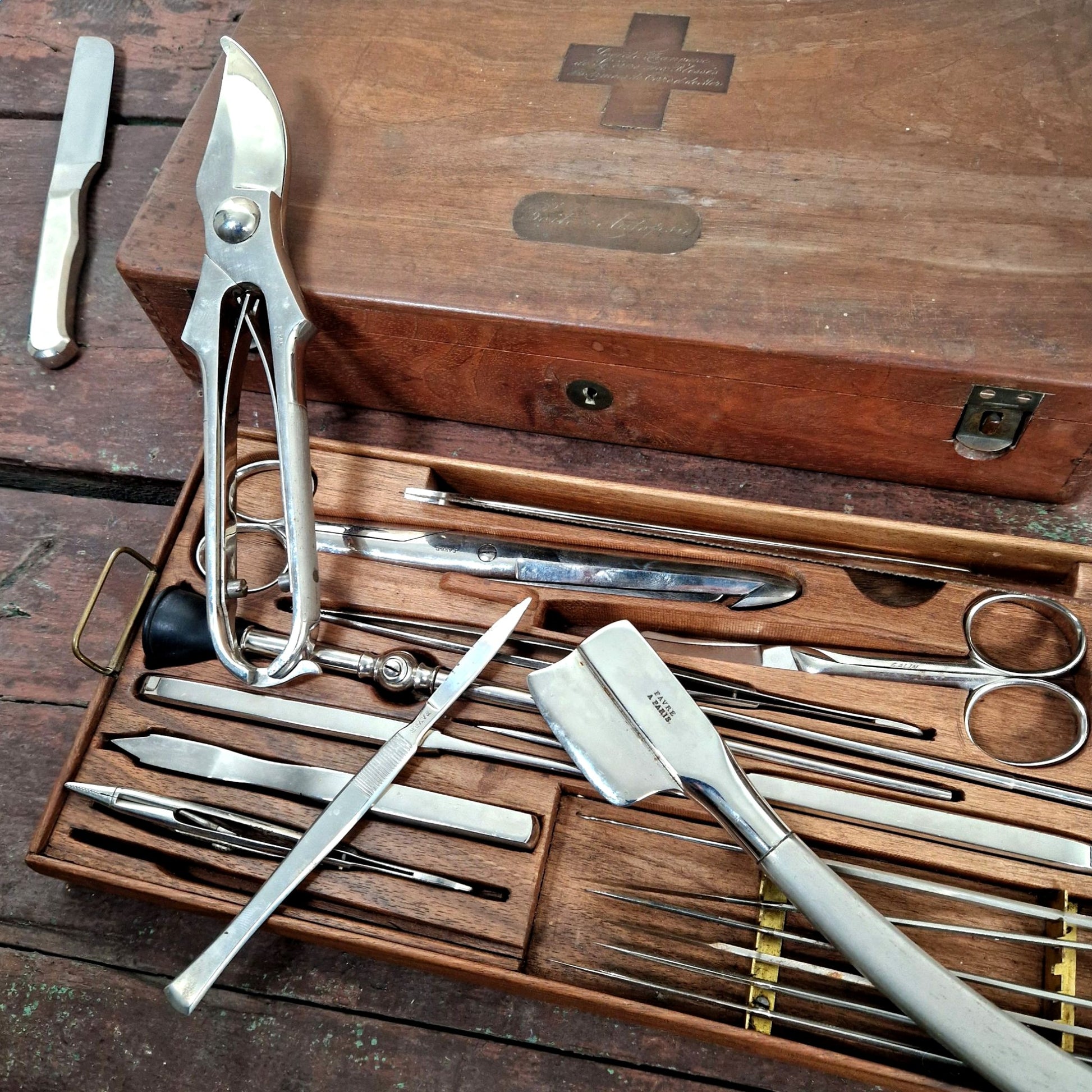 instruments pour autopsie cabinet de curiosité