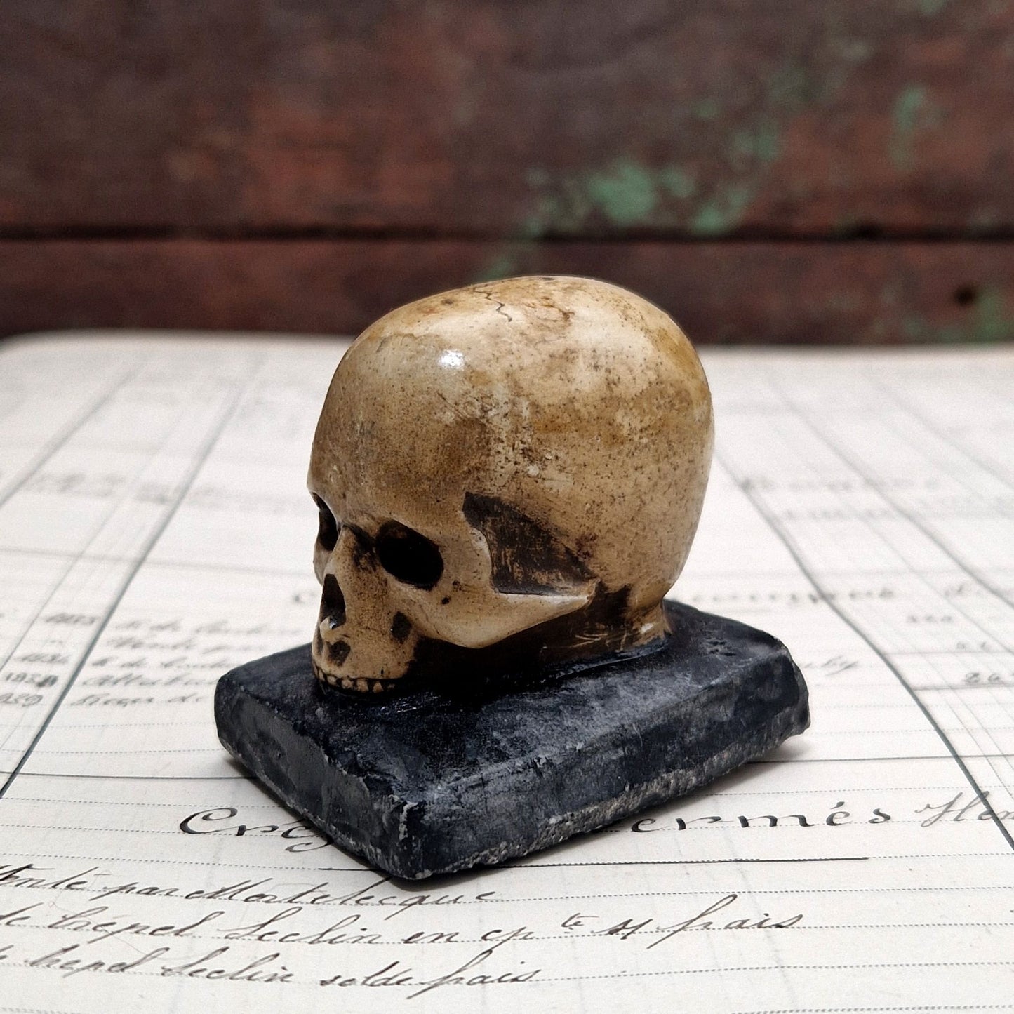 curiosité macabre, decor skull miniature