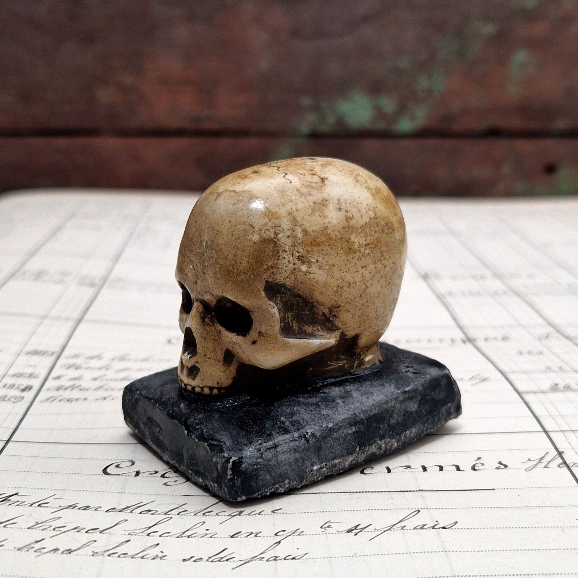 curiosité macabre, decor skull miniature