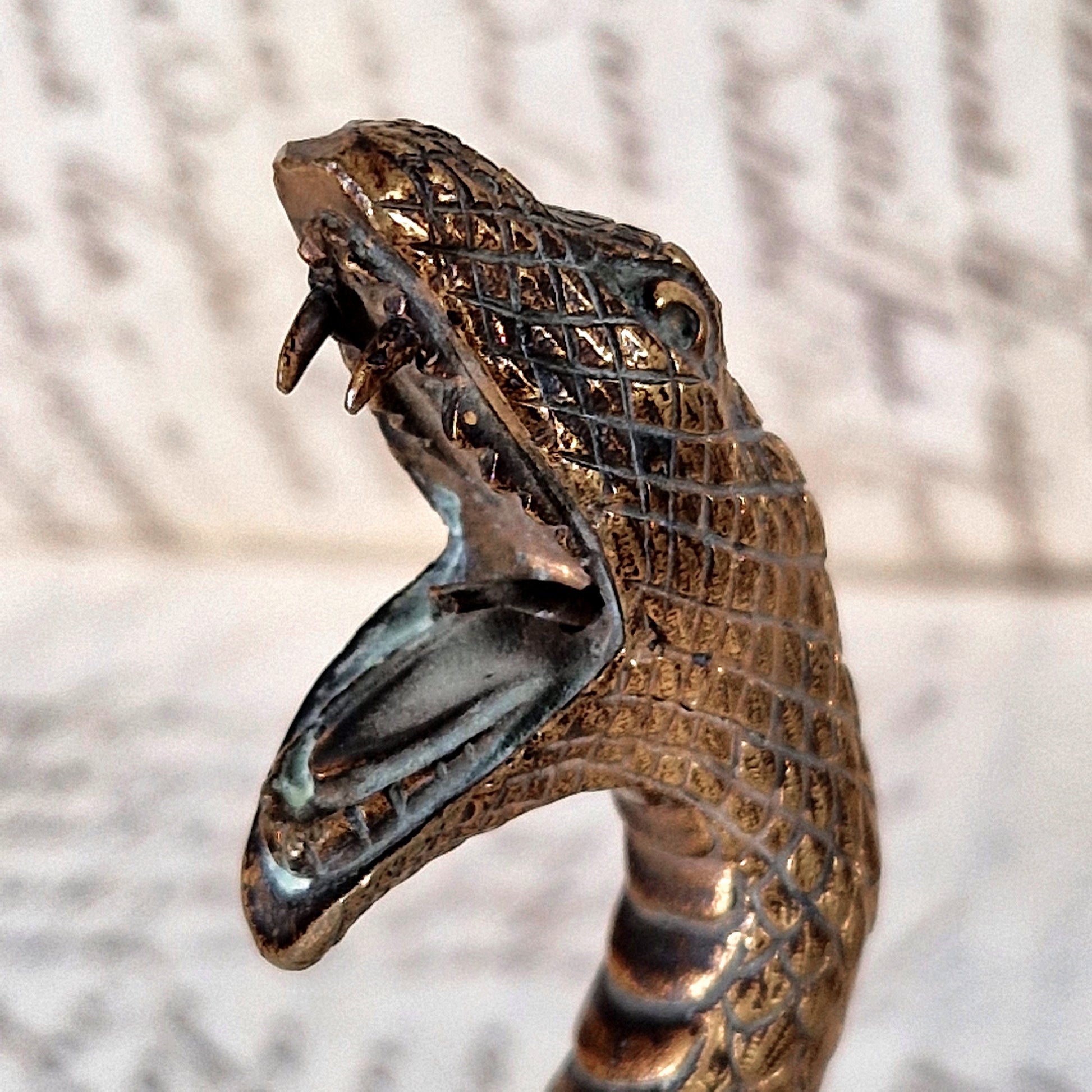 decorative bronze serpent