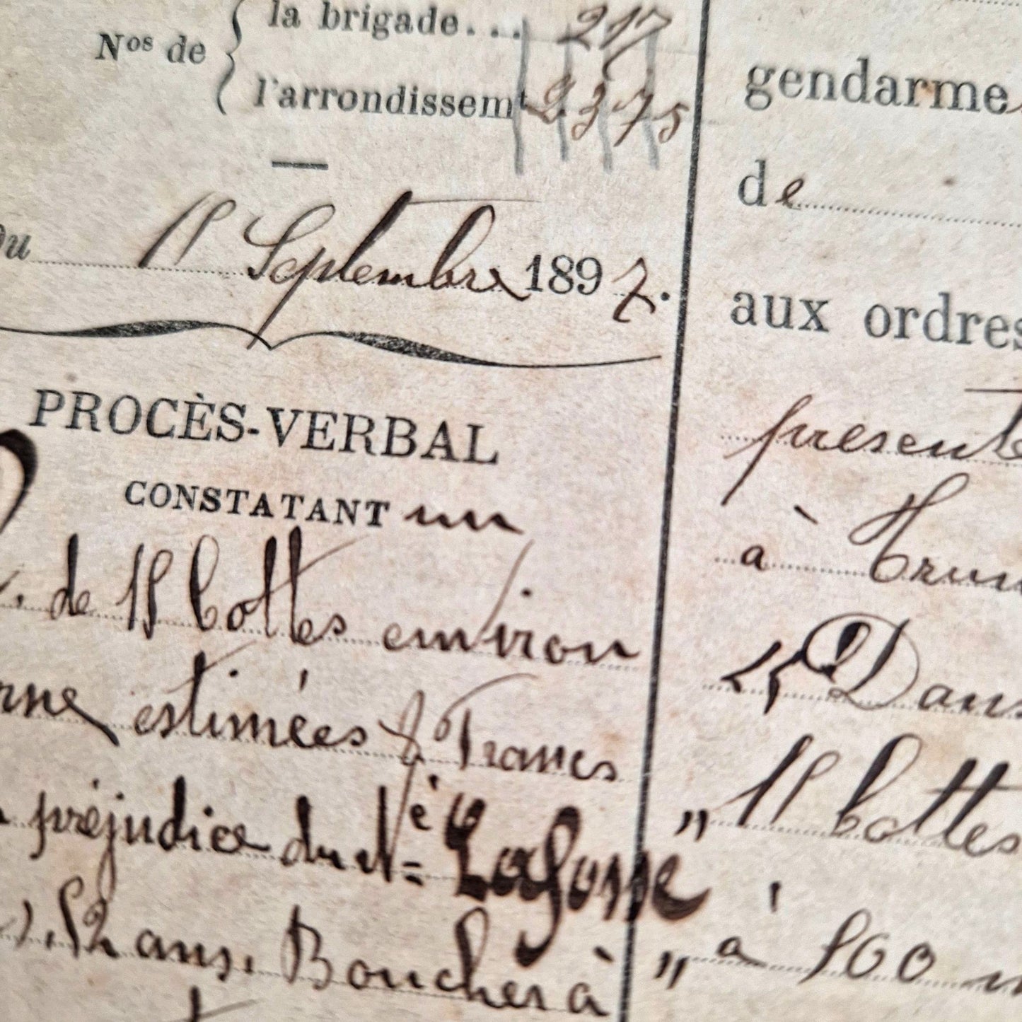 document ancien vol luzerne orne