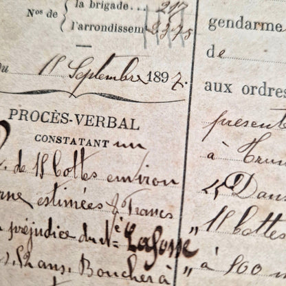 document ancien vol luzerne orne