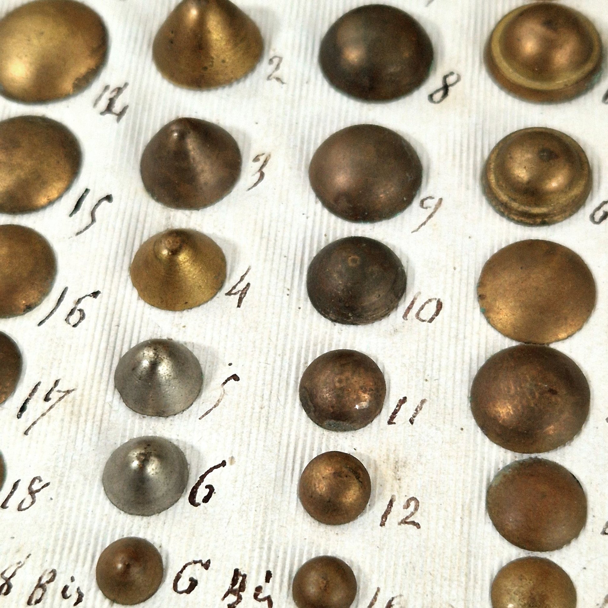 echantillon clous decoratifs