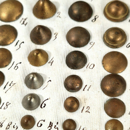 echantillon clous decoratifs