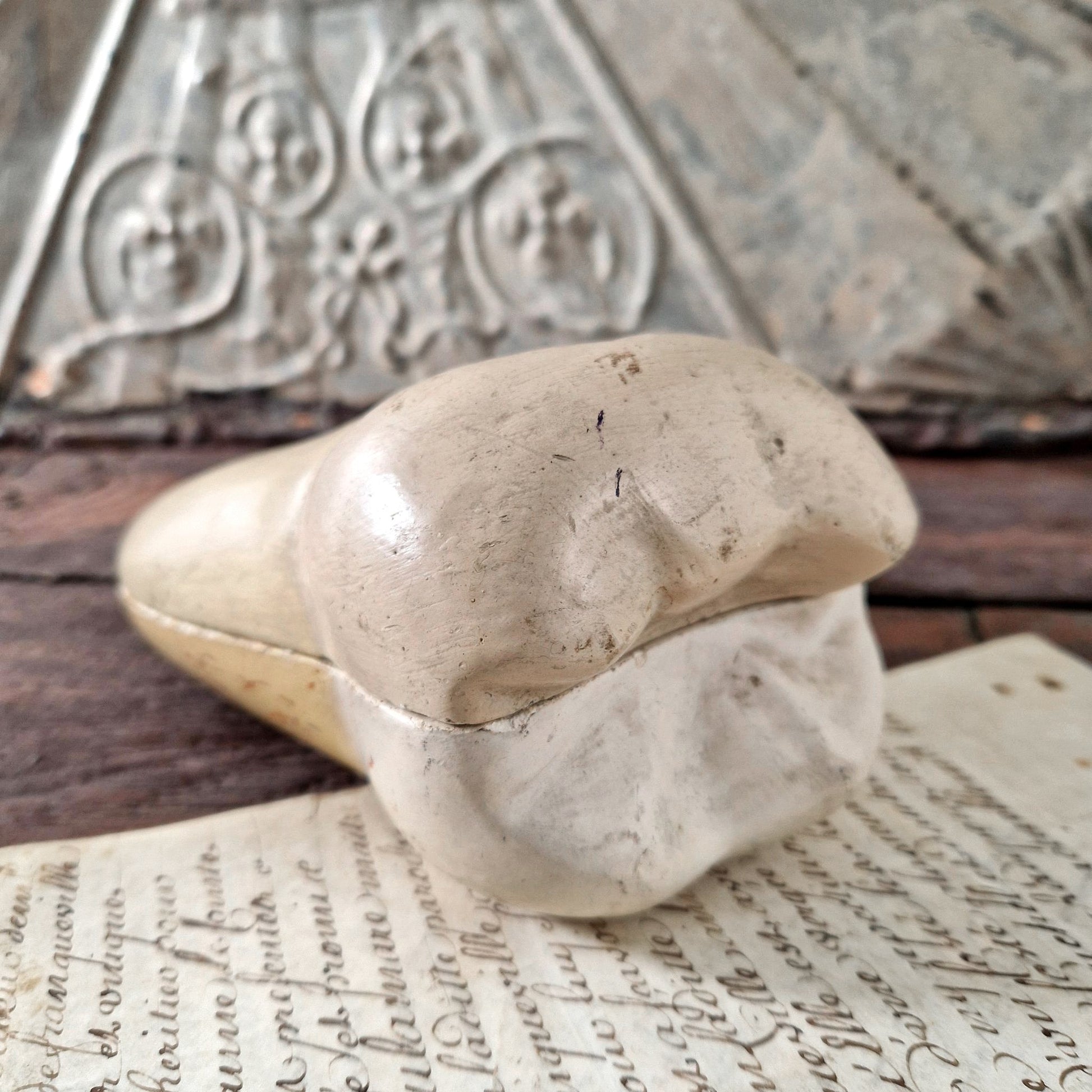 educational tooth cutaway 1900s