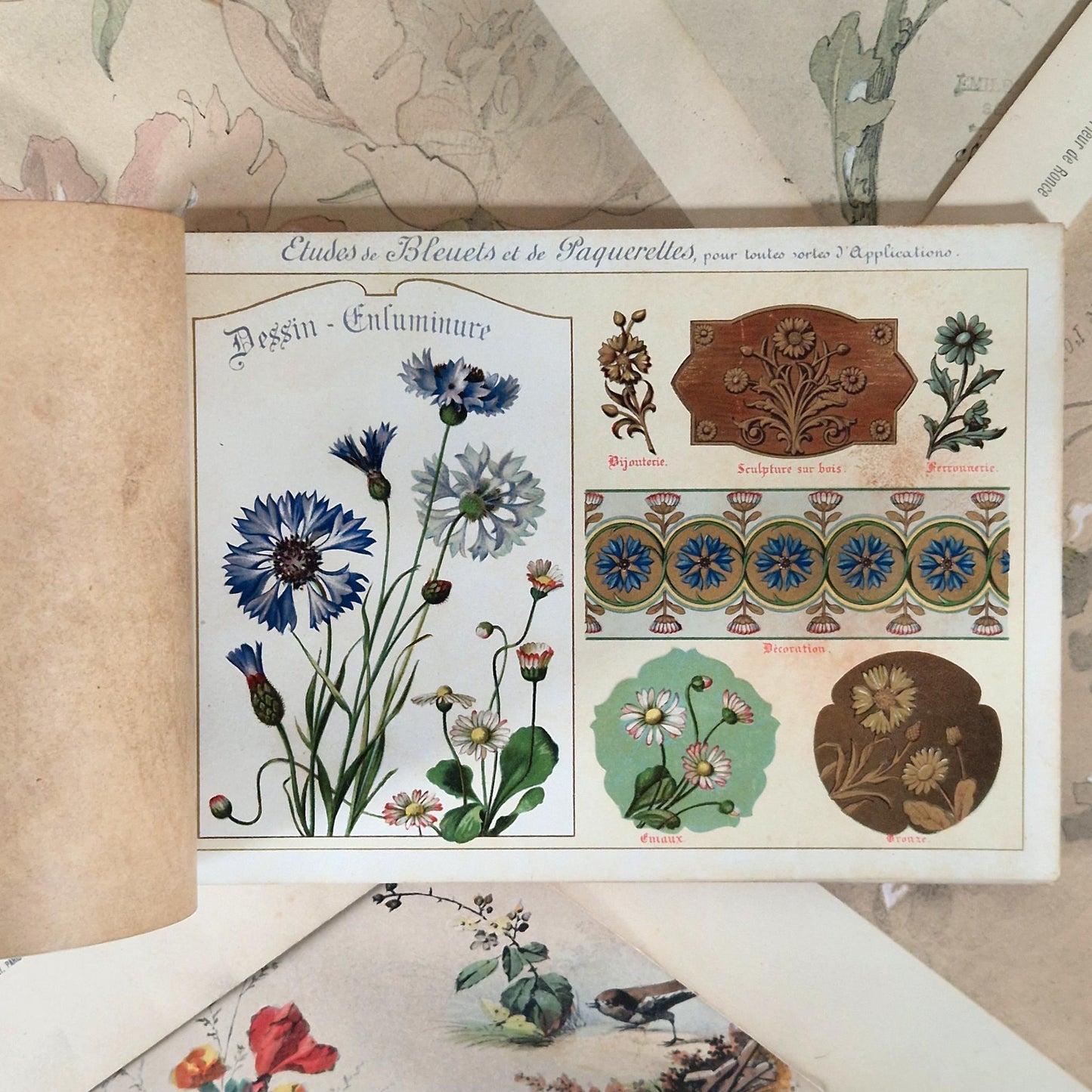 Flowers from Nature &amp; Ornamental Flowers - Ernest Guillot