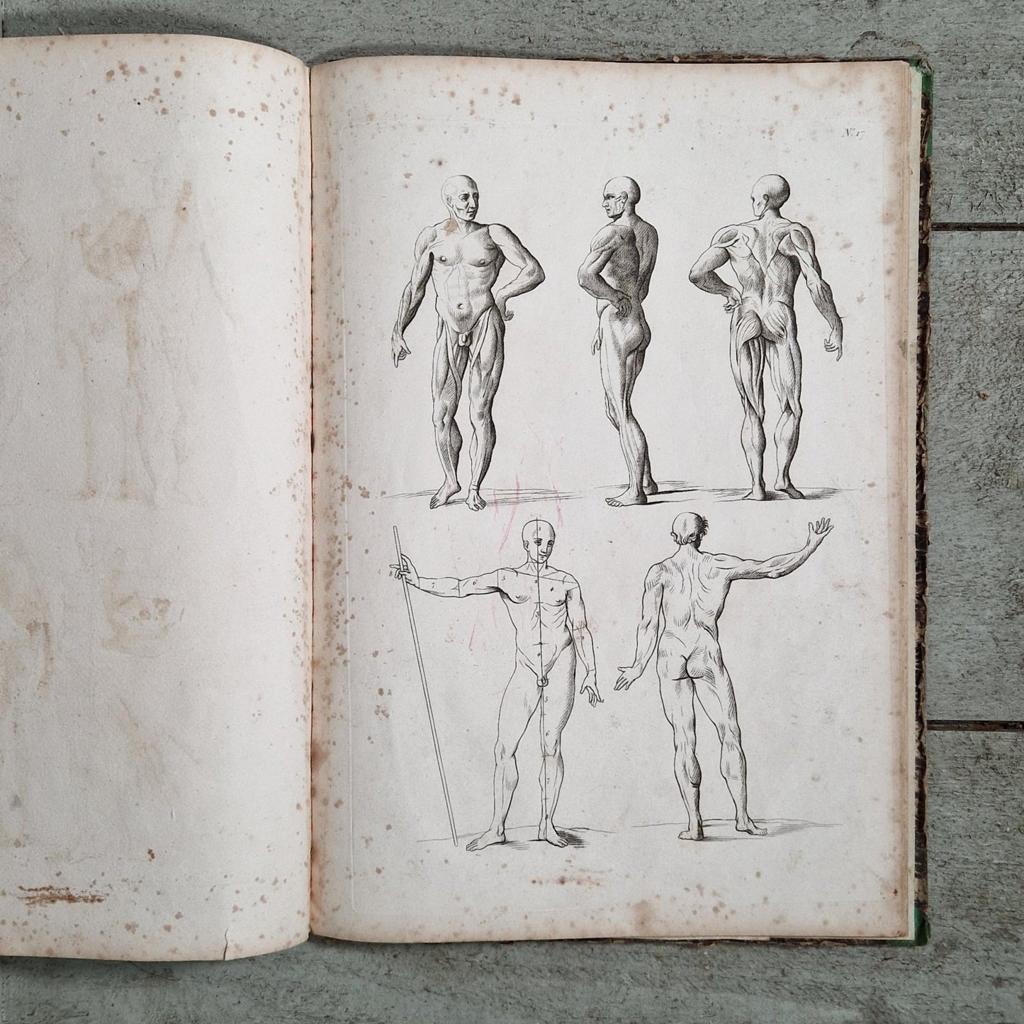 figure proportion manual 19th century
