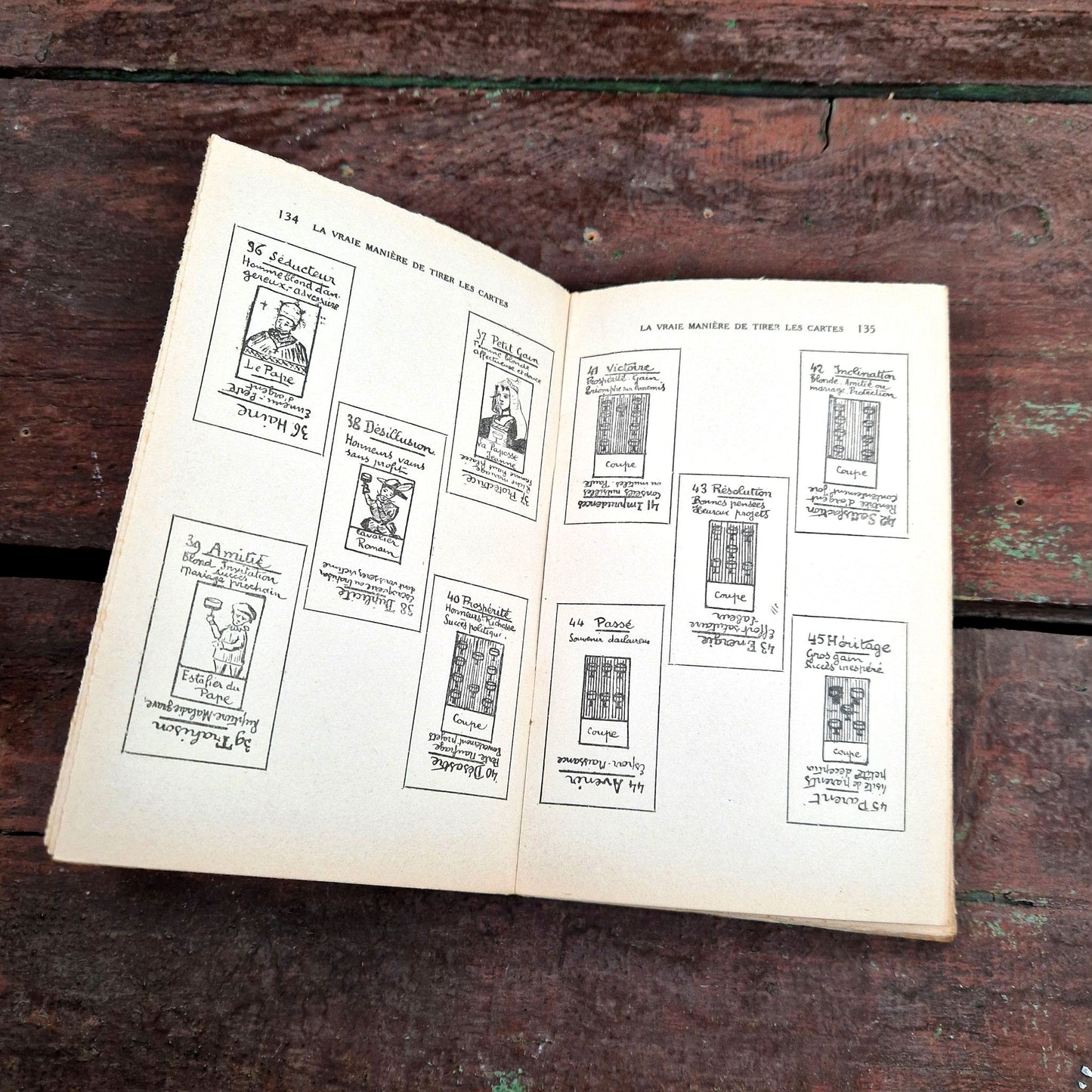 fortune telling guidebook vintage