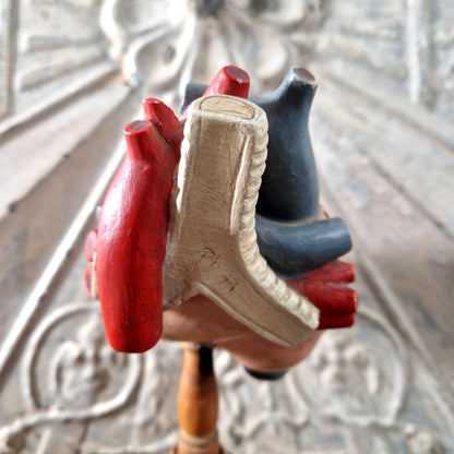 french anatomical heart display