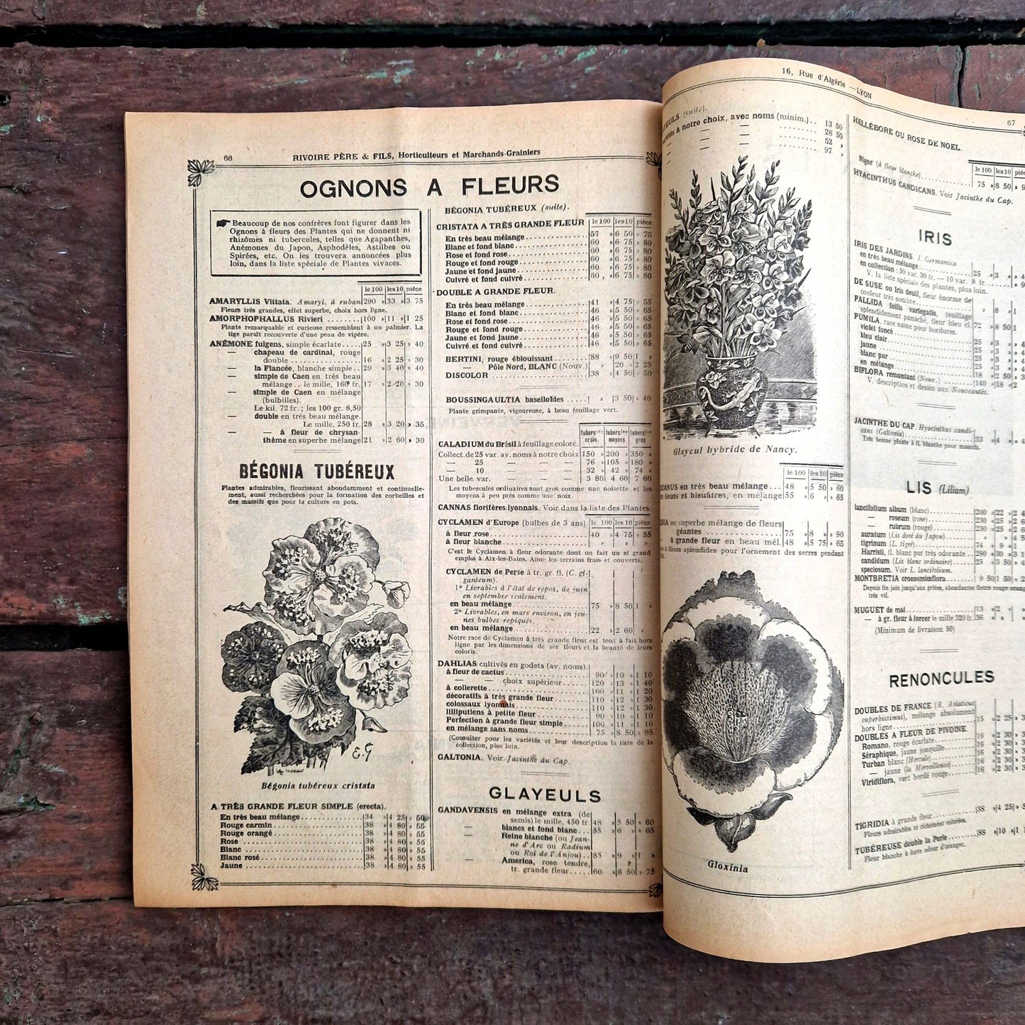 french garden catalog rivoire pere fils 