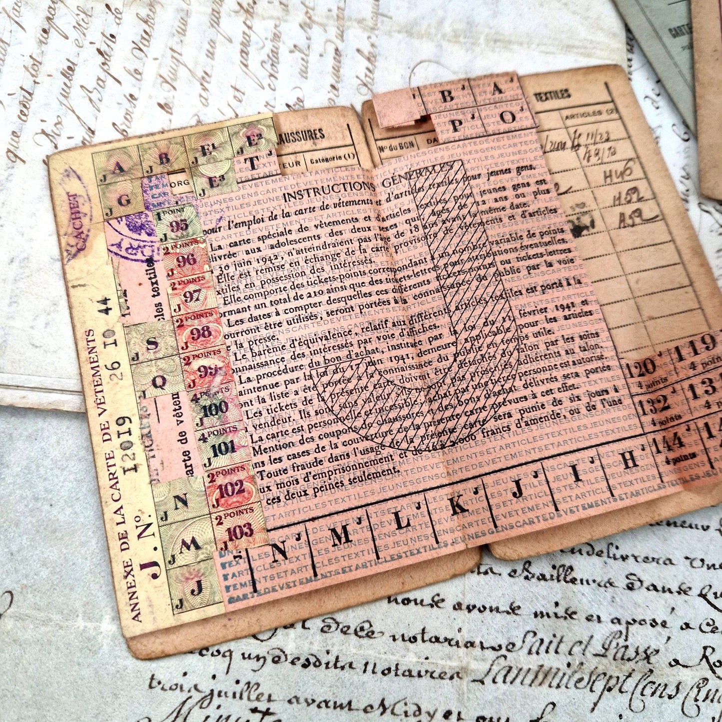 french vichy family priority card