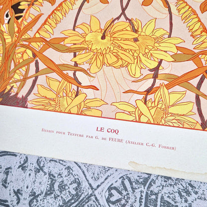 georges de feure art nouveau rooster lithograph