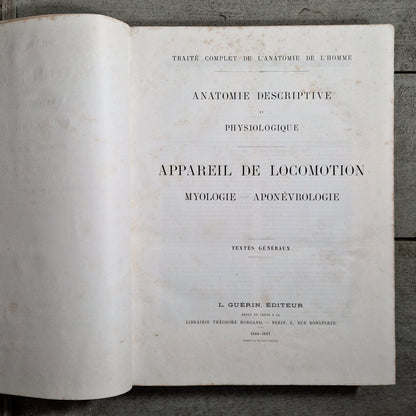 gravures anatomiques planches muscles homme