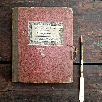 herbier ancien manuscrit avec fleurs sechees