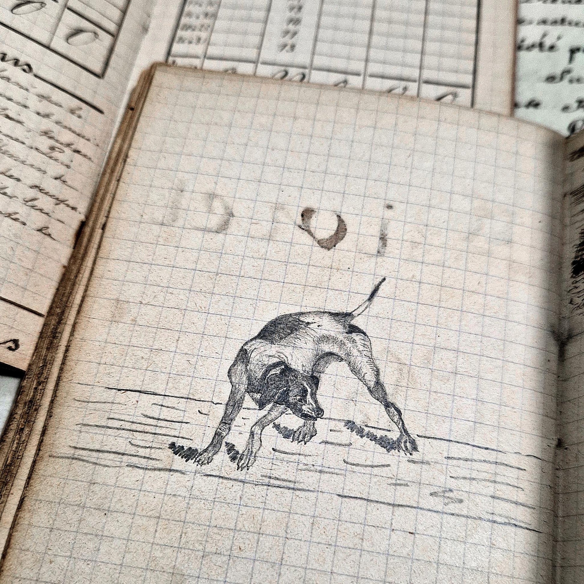 heritage cynegetique belgique xixeme