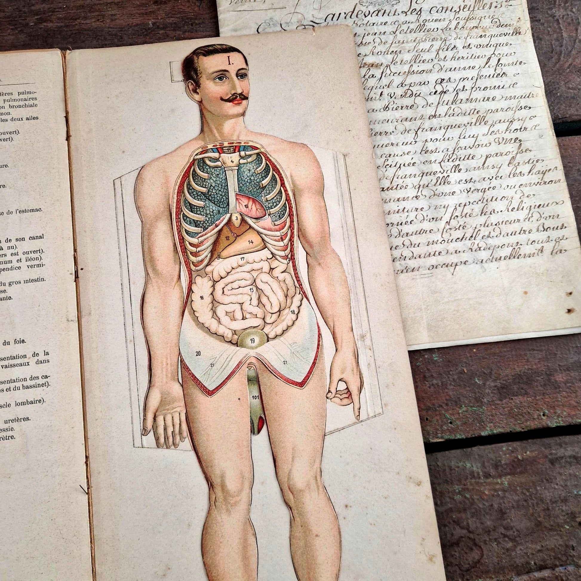 human anatomy vigot paris 1900