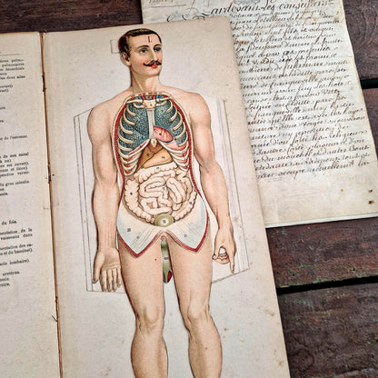 human anatomy vigot paris 1900