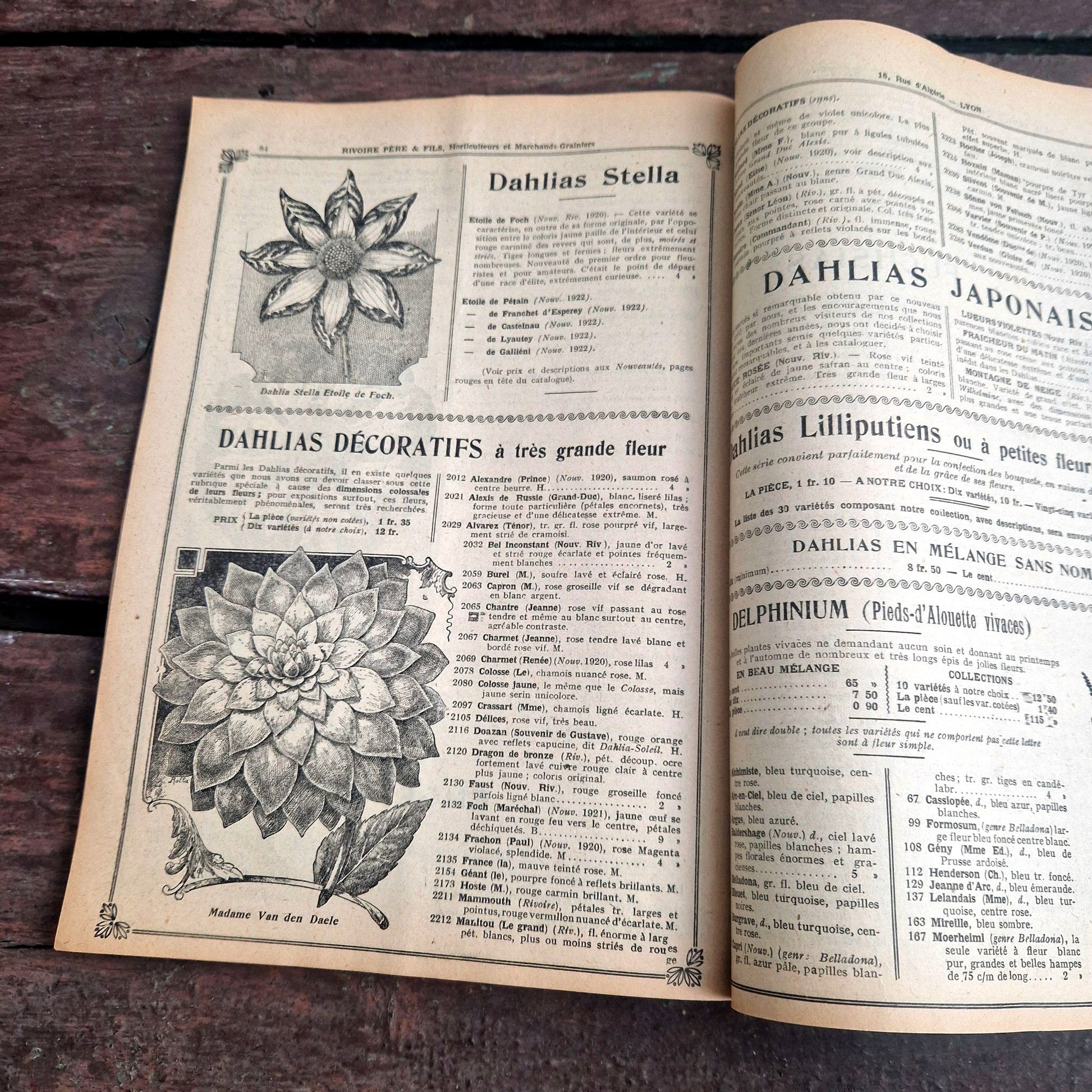 illustrated horticultural catalogue 1922