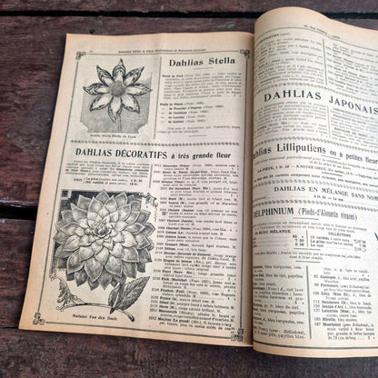 illustrated horticultural catalogue 1922