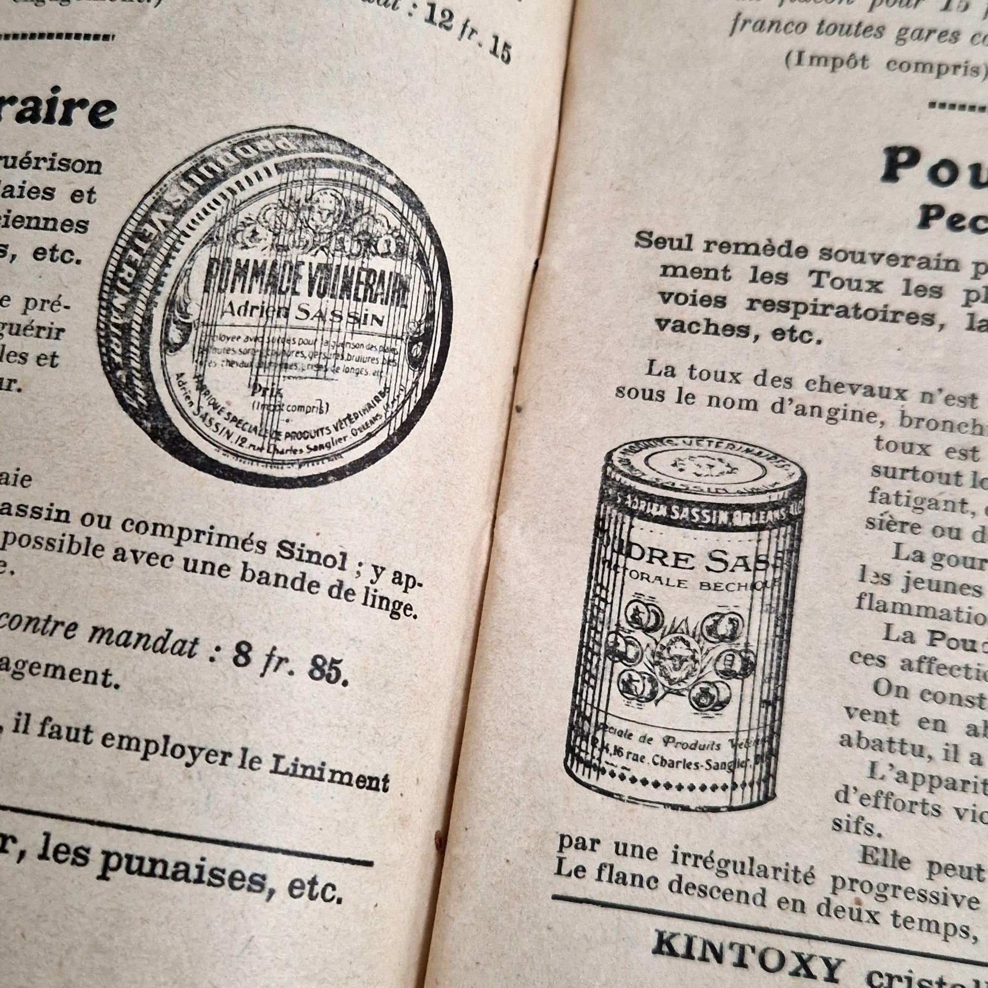 illustrated veterinary guide sassin