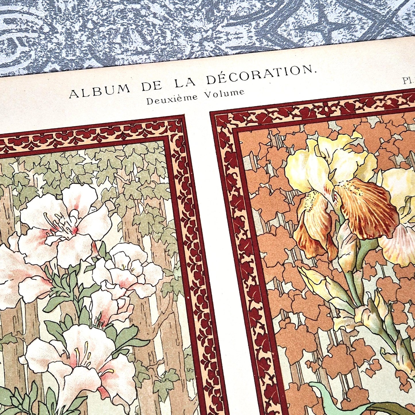 illustration florale belle époque lambert
