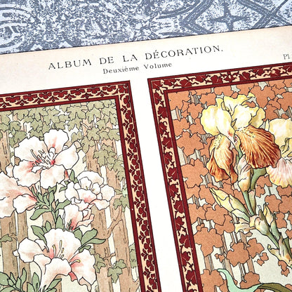 illustration florale belle époque lambert