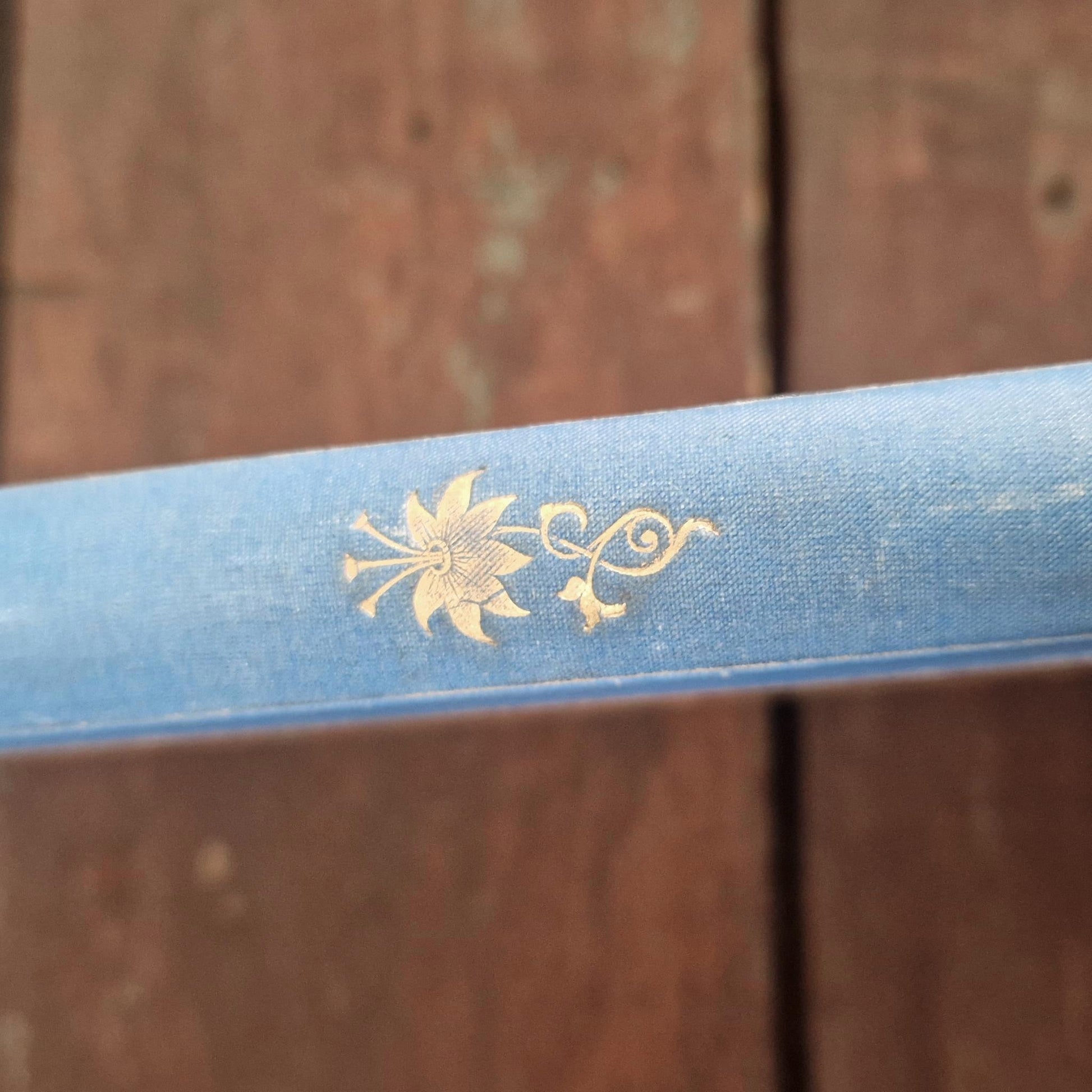 instruction militaire francaise 1904