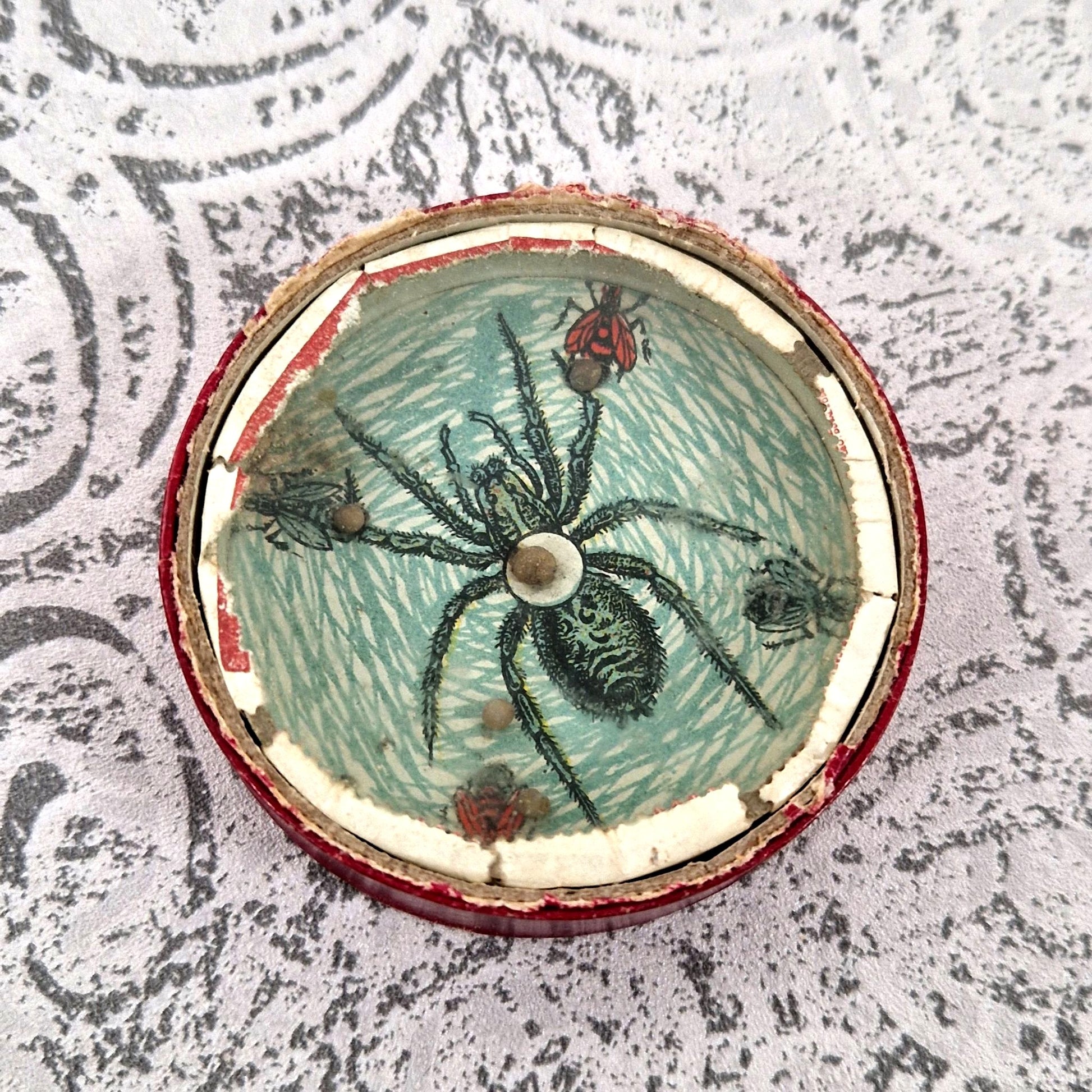 jeu patience insecte vintage