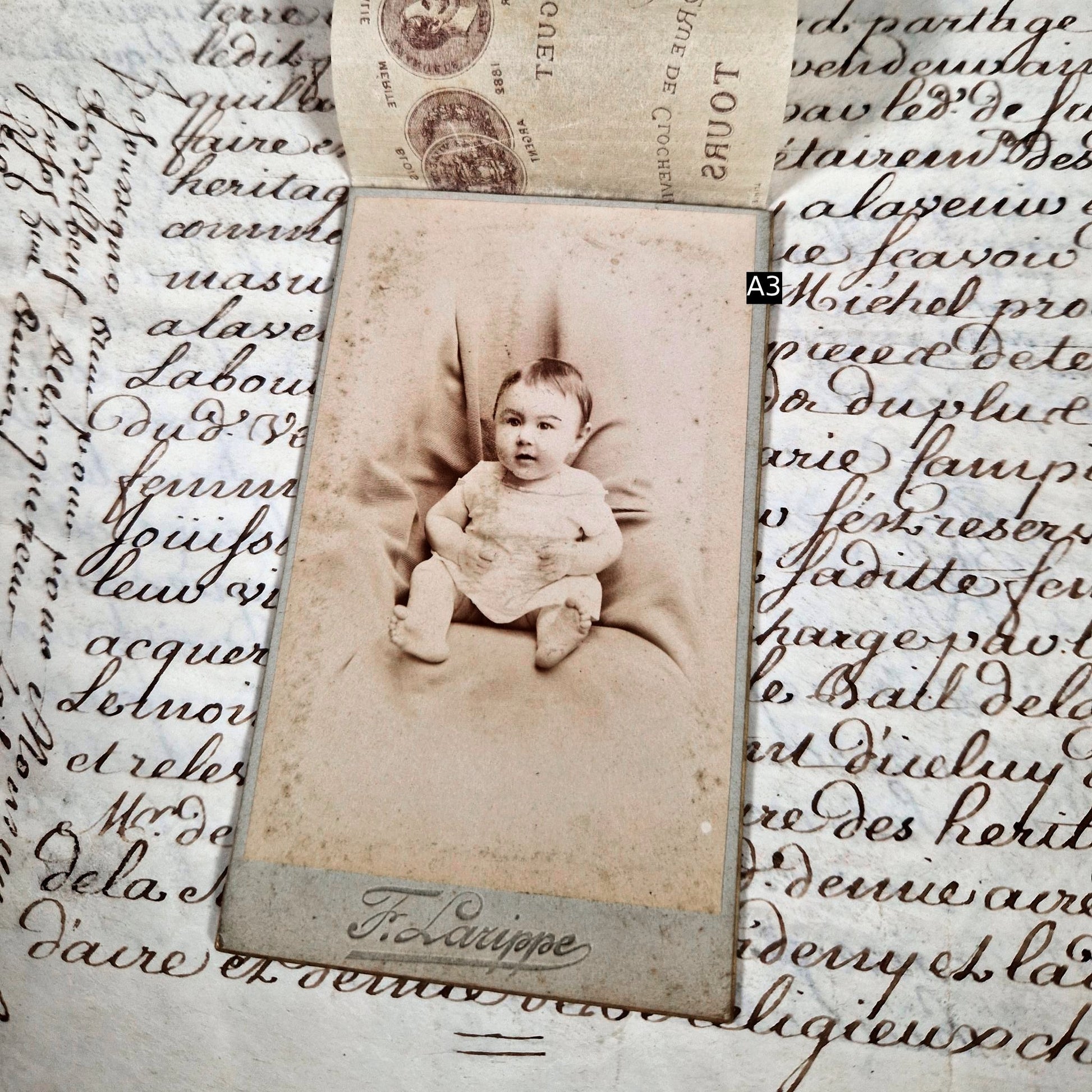 larippe photographer tours silk advertising cover