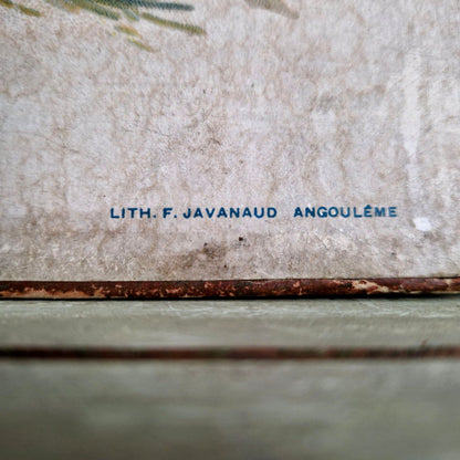 lithographie javanaud angouleme 1899