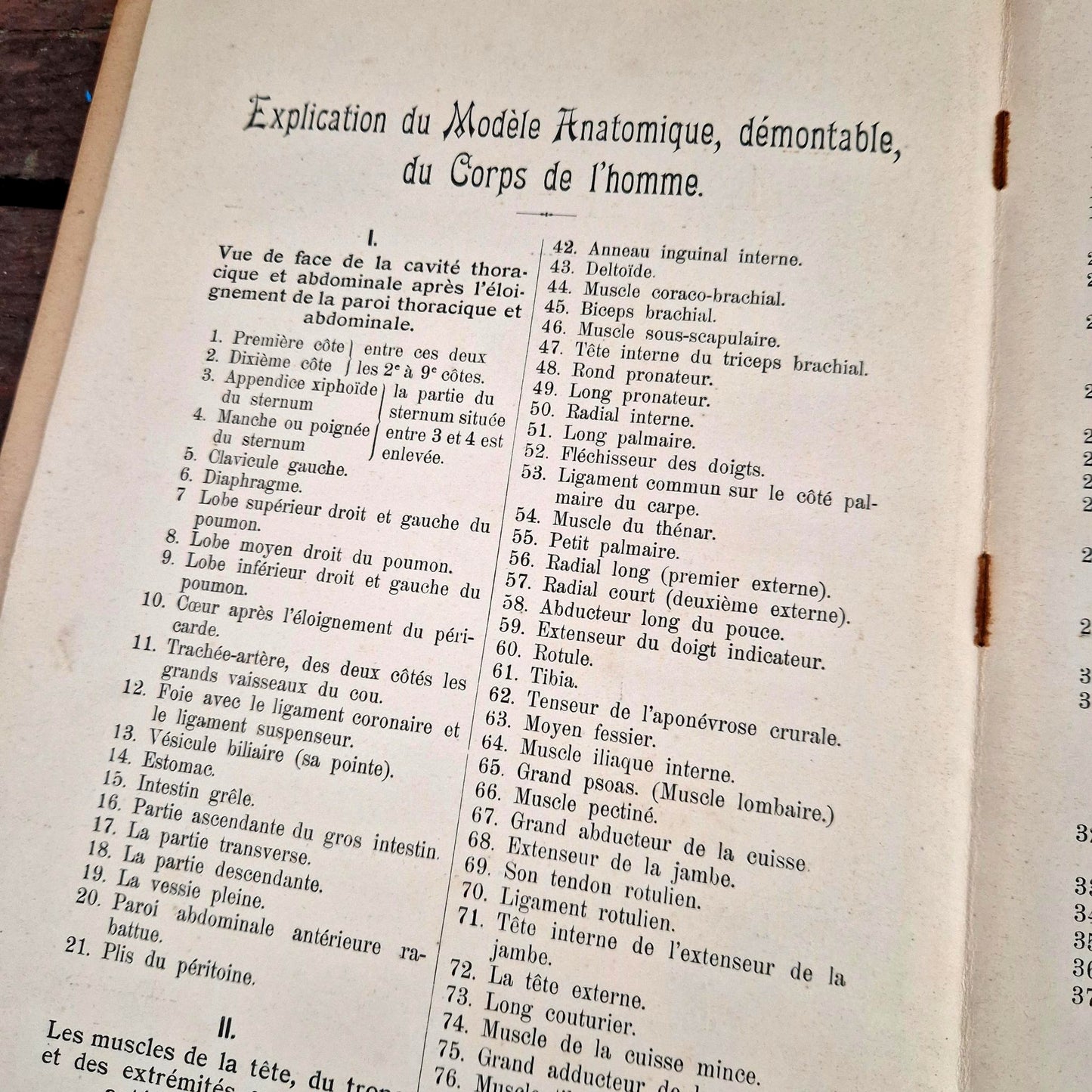 livre anatomie illustrations chromolithographie