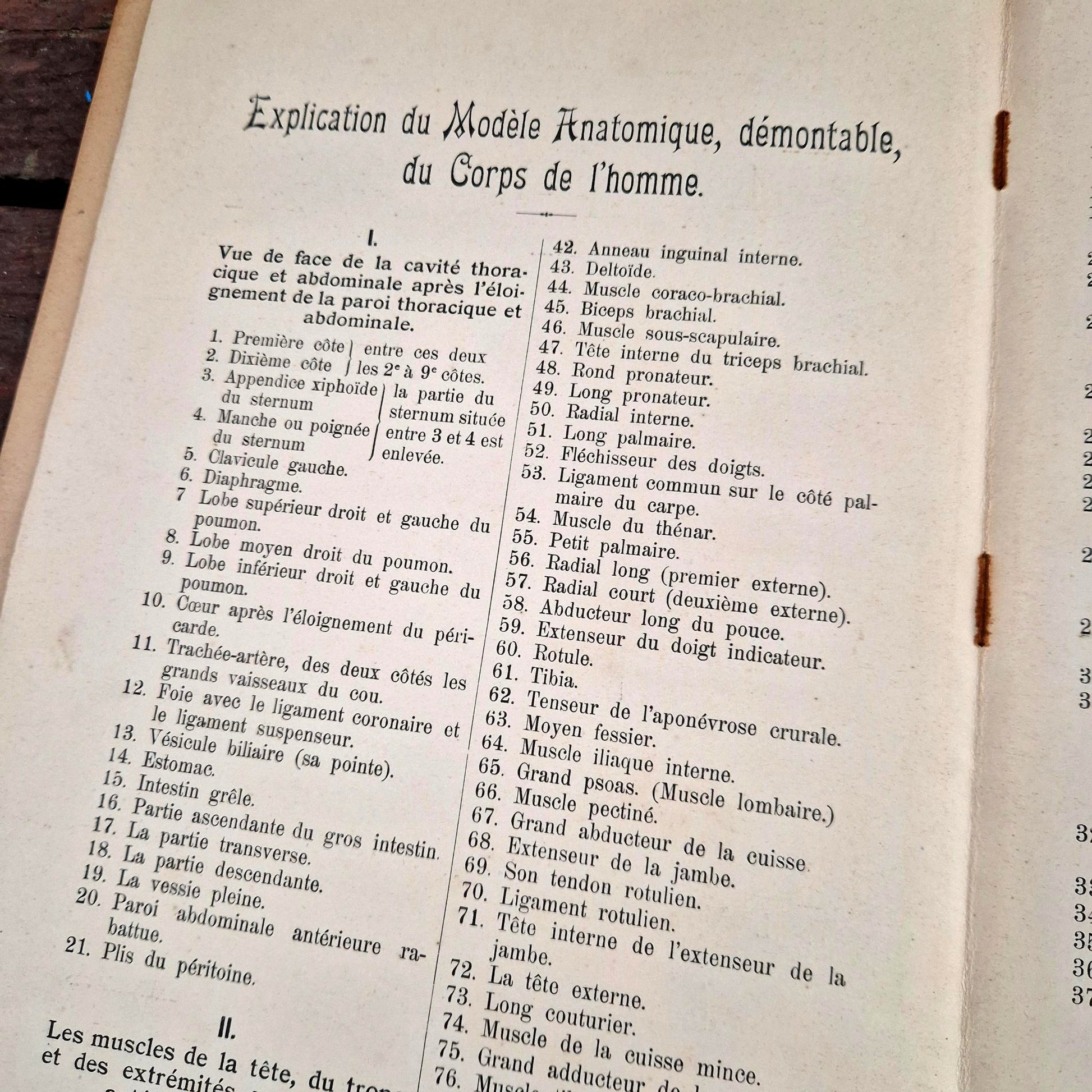 livre anatomie illustrations chromolithographie