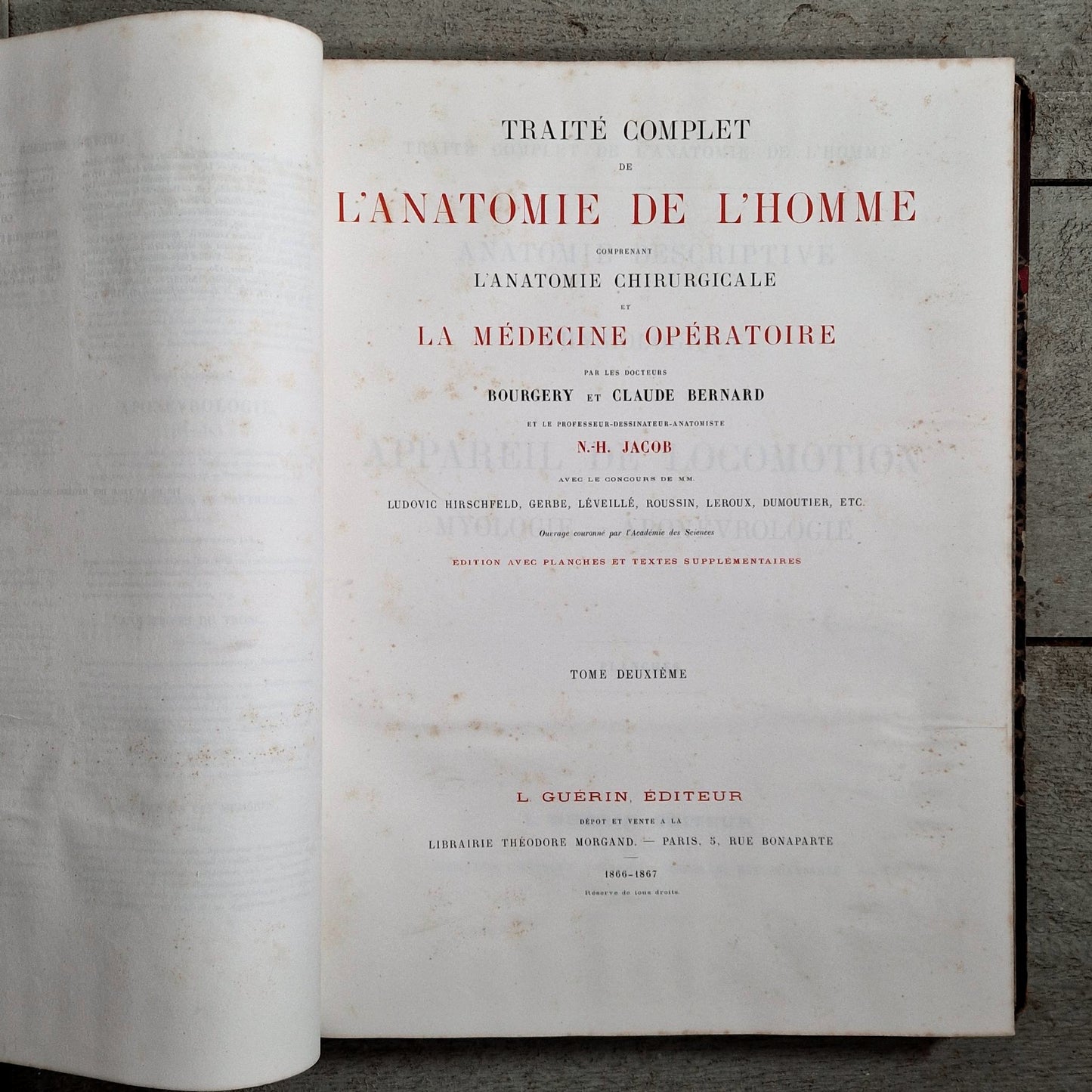 livre ancien morphologie artiste